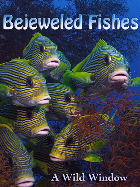 Watch Bejeweled Fishes .